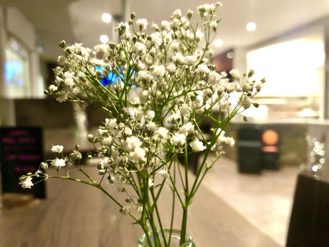 Terra Proxx software